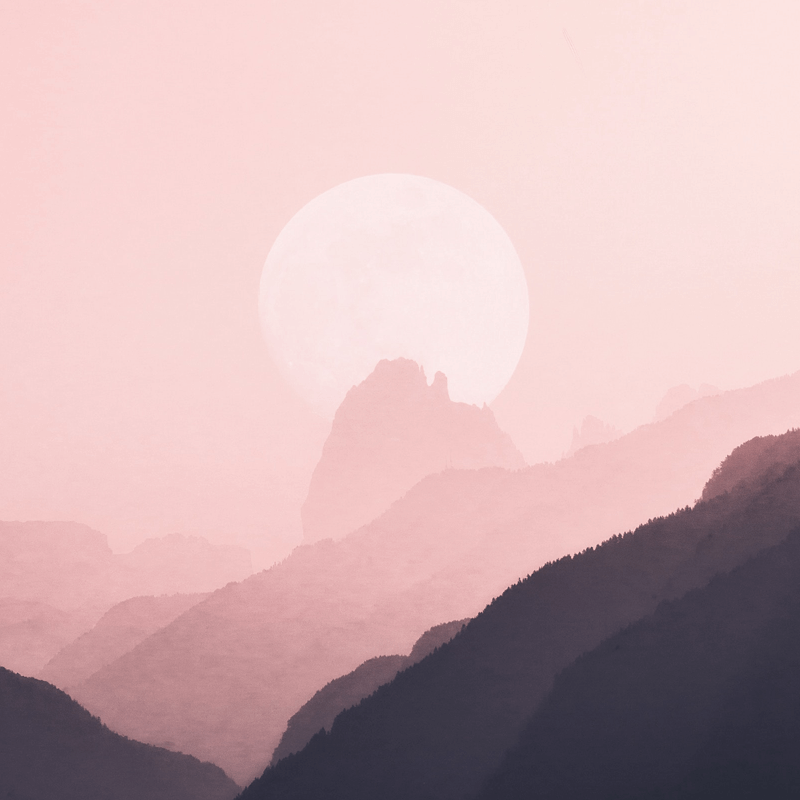 990-05-50-02-01 传感器模块卡件CPU BENTLY NEVADA 全新原装进口 质保一年 顺丰包邮 