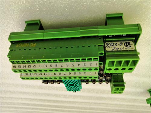 TRICONEX 9563-810 高级数字输入终端面板  原厂现货 全新质保 顺丰包邮