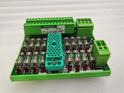 TRICONEX 9563-810 高级数字输入终端面板  原厂现货 全新质保 顺丰包邮图4