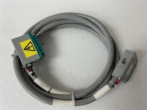 TRICONEX 4352AN通讯模块 货源充足 原厂现货 全新质保 顺丰包邮图2