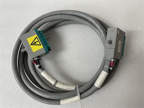 TRICONEX 4352AN通讯模块 货源充足 原厂现货 全新质保 顺丰包邮图3