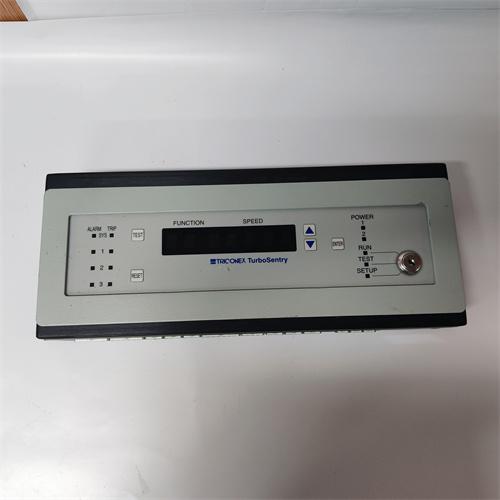 TRICONEX 1600071-001 模块 原厂直采 优势议价图1