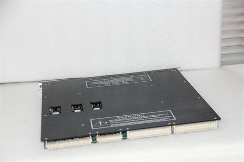 TRICONEX 4200 扩展器模块 货源充足 原厂现货 全新质保 顺丰包邮图2