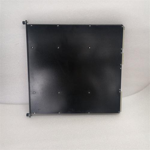 TRICONEX 4351B 通信模块/可编程逻辑控制器（PLC）电源模块图1