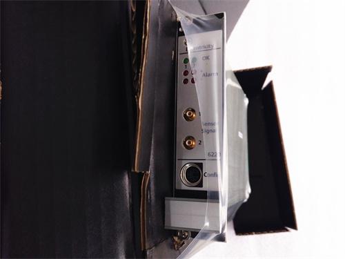 EMERSON+A6220 轴偏心振动监测仪 进口原装 全新现货 未拆封 质保一年 顺丰包邮图2