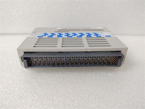 EMERSON+5X00502G01 数字量输入卡件 进口原装 全新现货 未拆封 质保一年 顺丰包邮图1