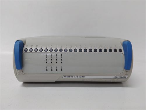 EMERSON+1C31179G02 数字控制系统（DCS）模块 进口原装 全新现货 未拆封 质保一年 顺丰包邮图1