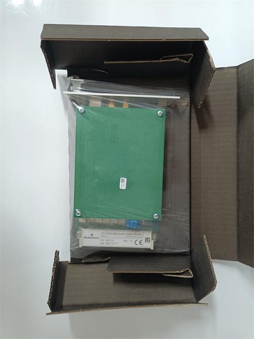 EMERSON A6110 双通道轴振动测量模块 进口原装 全新现货 未拆封 质保一年 顺丰包邮图3