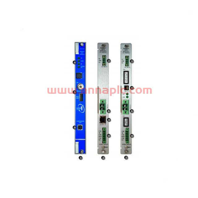 3300/48-01-01-01-00 系列机箱扩展监视器 本特利bently 全新现货图3