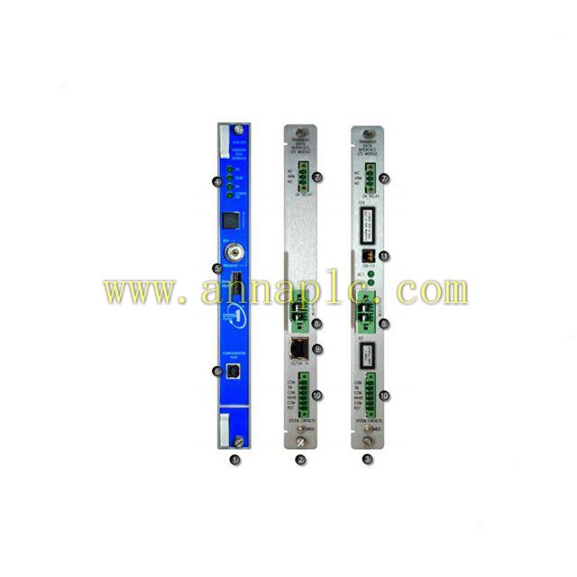 本特利Bently Nevada 330877-080-37-05 PLC工控配件报价